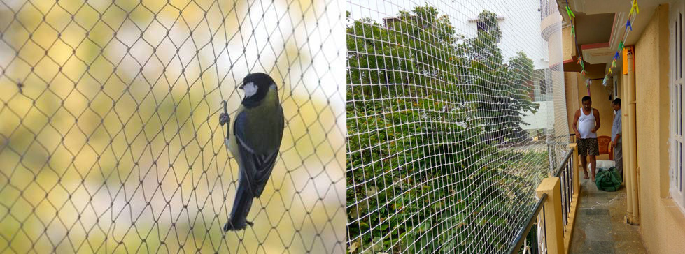 Pigeon safety nets in visakhapatnam