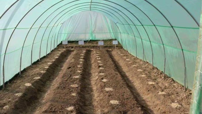 Green Shade Nets in visakhapatnam